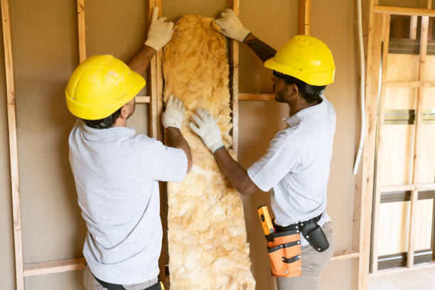 Professional Insulation in Big Pine Key, FL